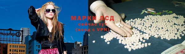 сатива Янаул
