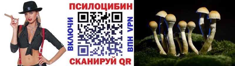 купить OMG ССЫЛКА Галлюциногенные грибы Cubensis Тюкалинск